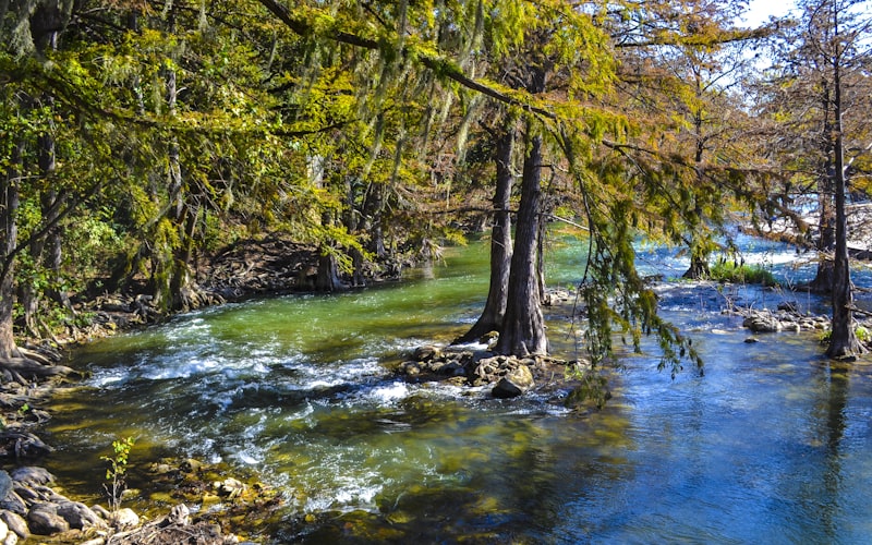 Scenic river with cypress trees in the Texas Hill Country near New Braunfels